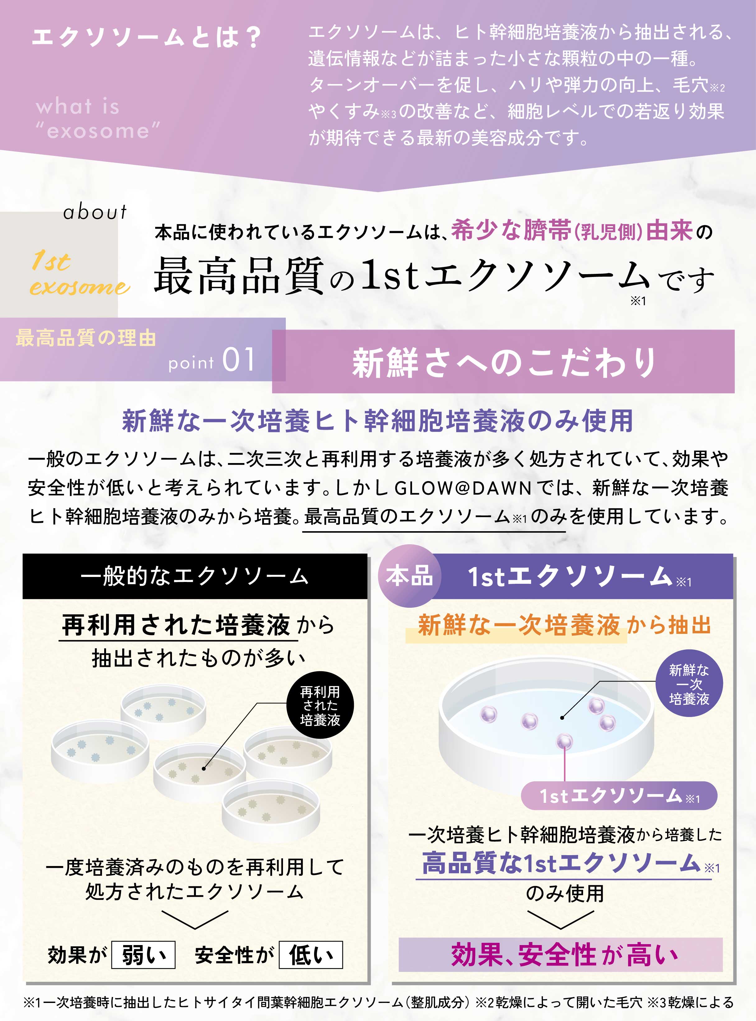 エクソソーム3%配合美容液｜GLOW@DAWN エクストラ3%セラム｜宮城フジヤ