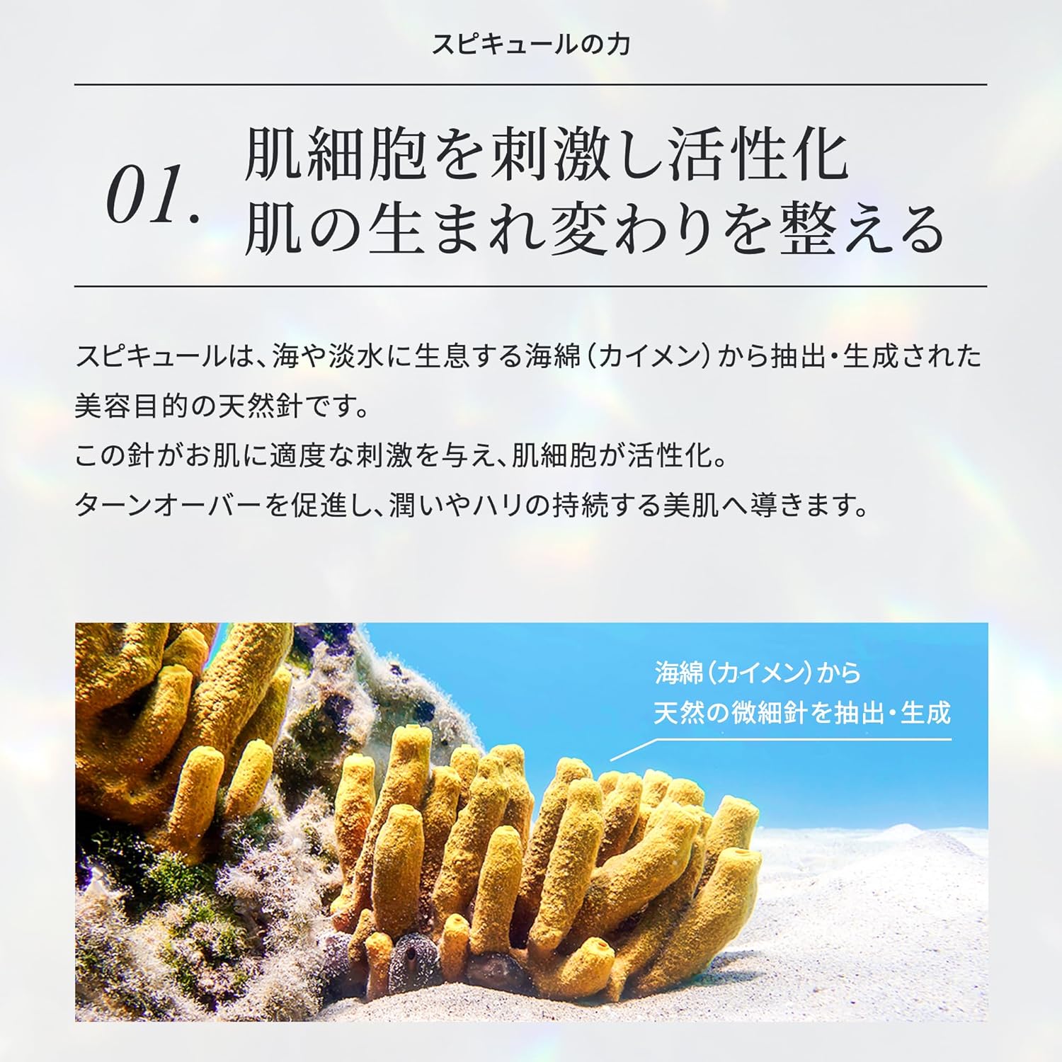 化粧水 ハリ DERMA ISM スピキュール ローション – ファッション